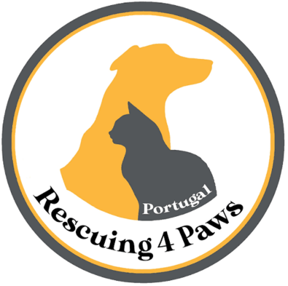 Logótipo da comunidade Rescuing 4 Paws Portugal