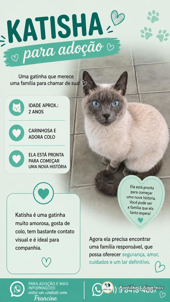 Gato - São Paulo