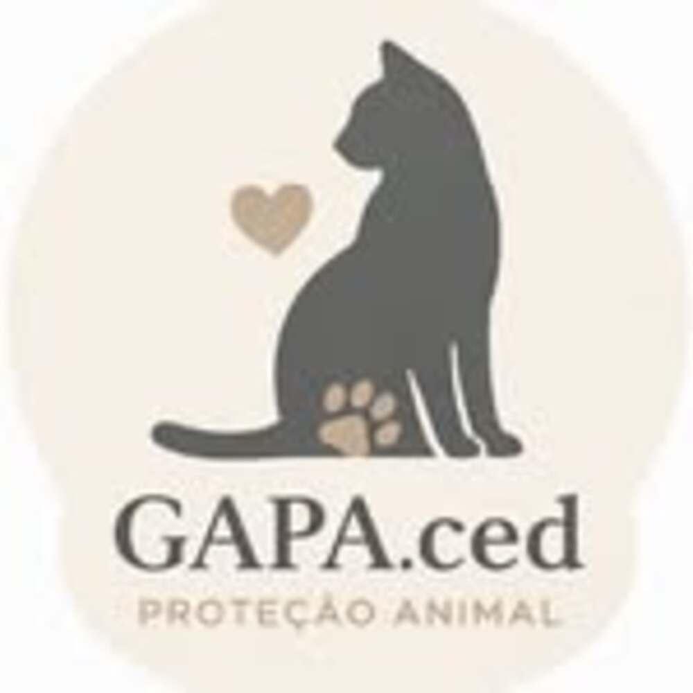 Logótipo da comunidade GAPA.ced