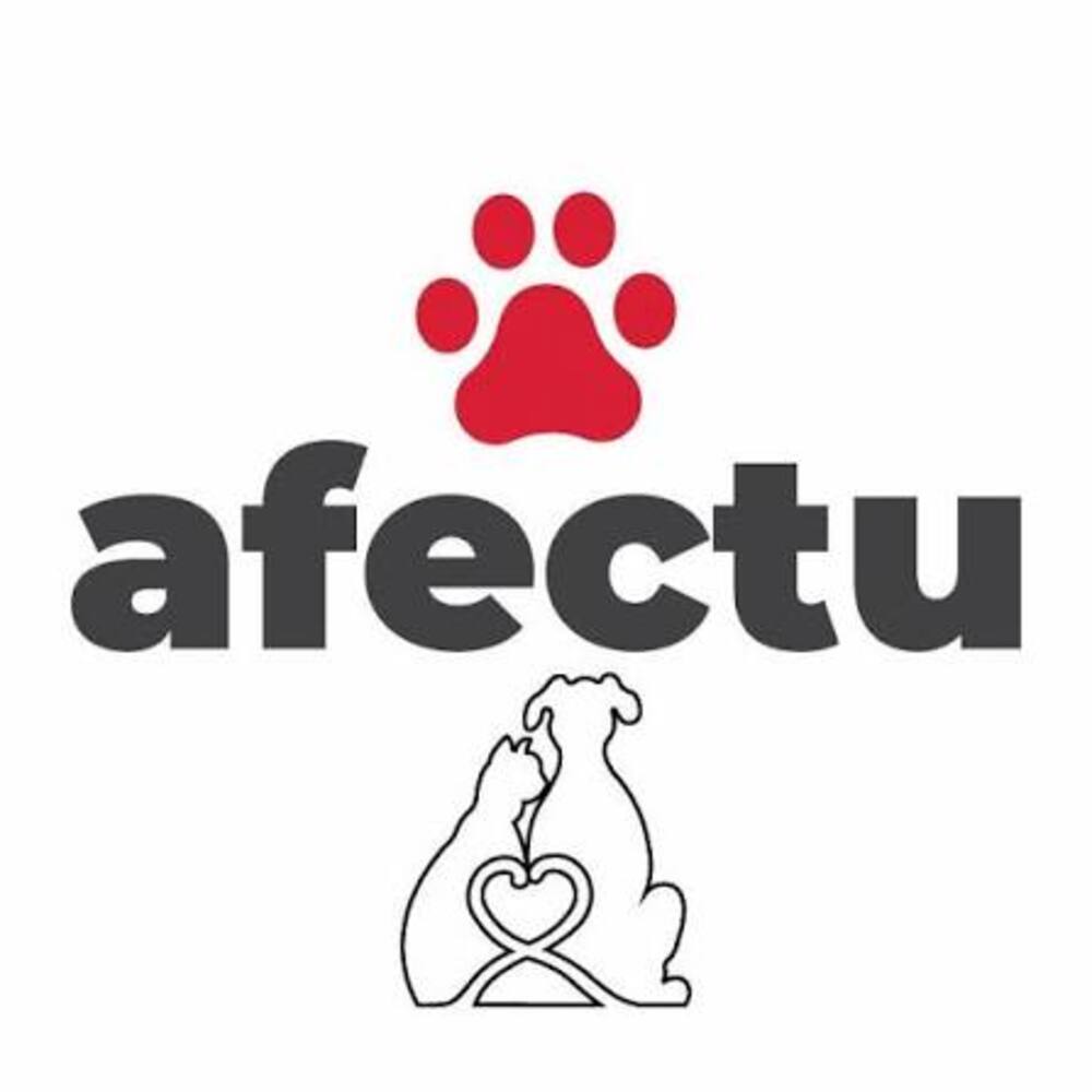 Logótipo da comunidade AFECTU Associação de Felinos e Caninos Todos Unidos